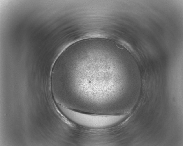 X0000065241236200602211204