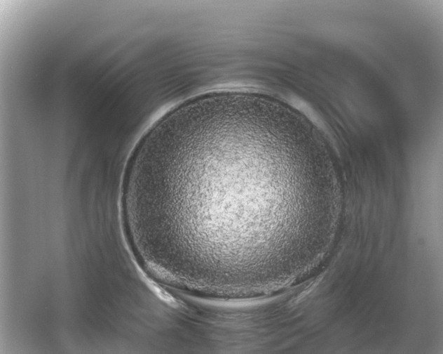 X0000065241237200602211204