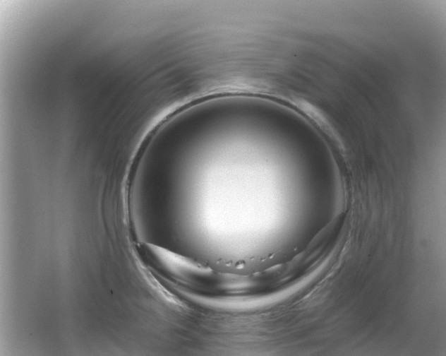 X0000065241238200602211204