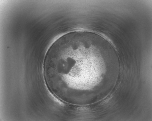 X0000065241239200602211204