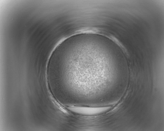 X0000065241240200602211204