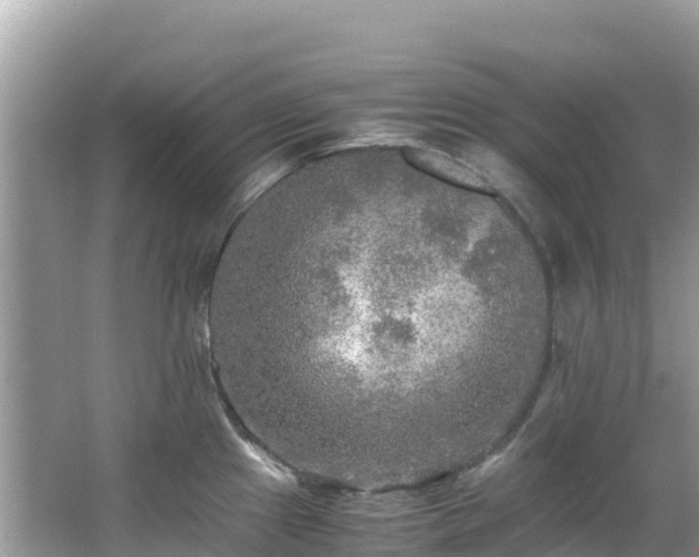 X0000065241241200602211204