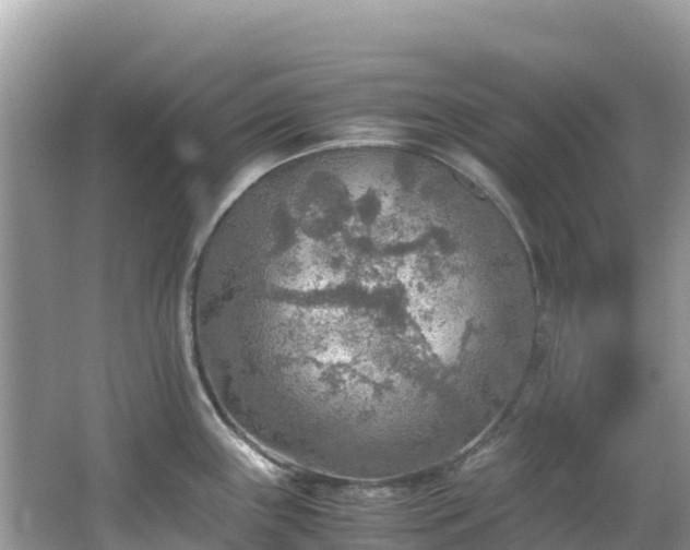 X0000065241243200602211204