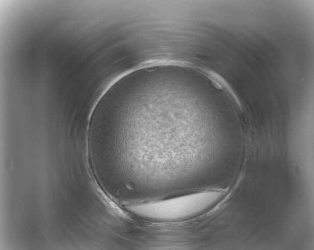 X0000065241244200602211204