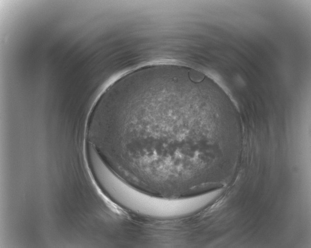 X0000065241245200602211204