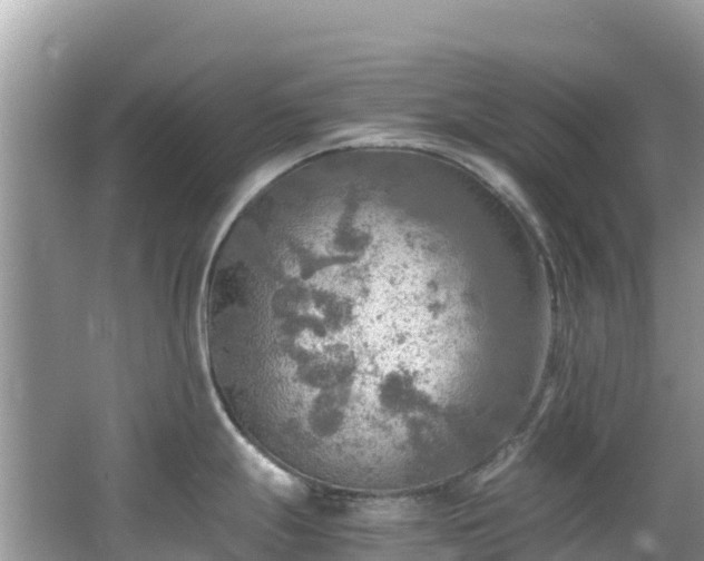 X0000065241247200602211204