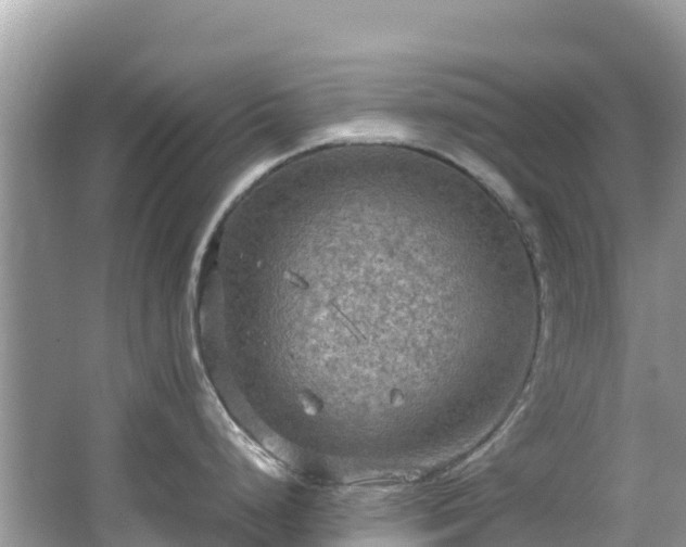 X0000065241248200602211204