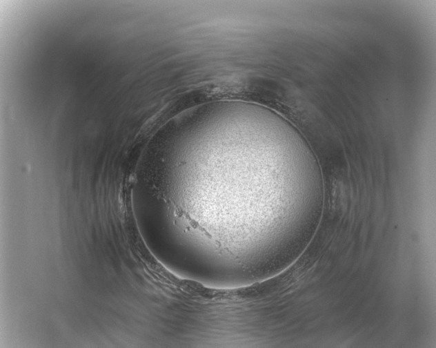 X0000065241250200602211203