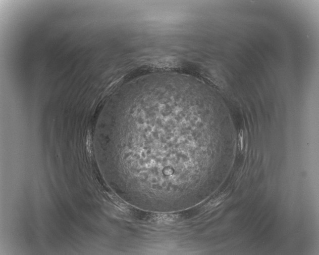 X0000065241251200602211203