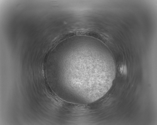 X0000065241252200602211203