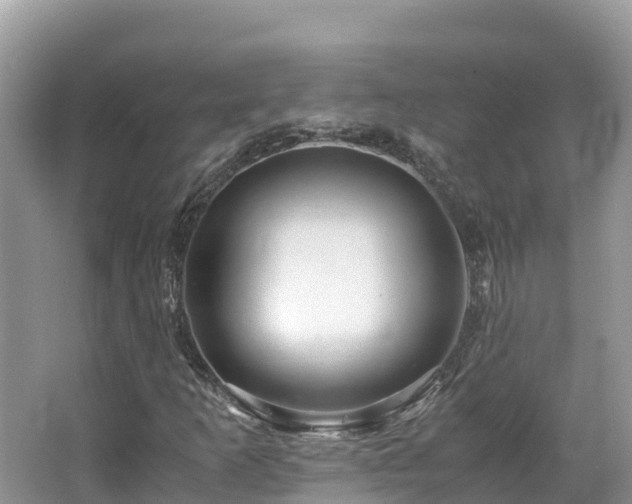 X0000065241253200602211203