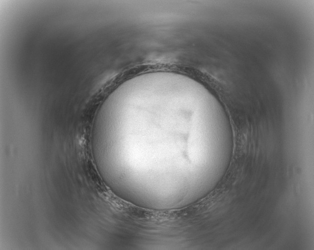 X0000065241254200602211203