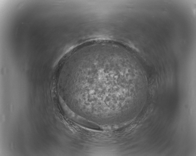 X0000065241255200602211203