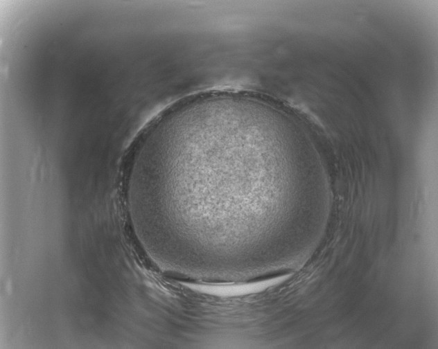 X0000065241256200602211203