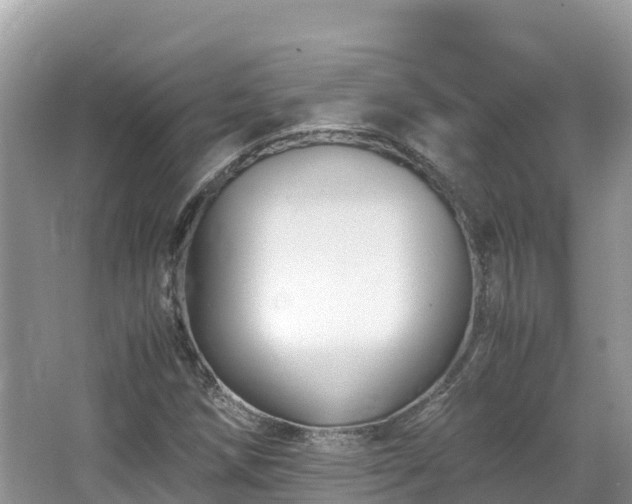 X0000065241258200602211203