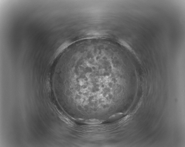 X0000065241259200602211203