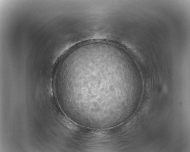 X0000065241262200602211203