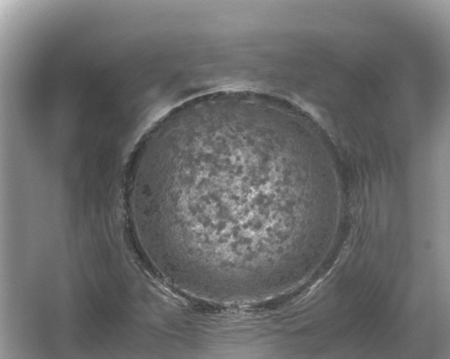 X0000065241263200602211203