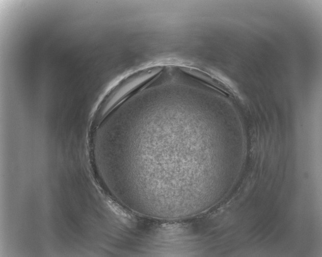 X0000065241264200602211203