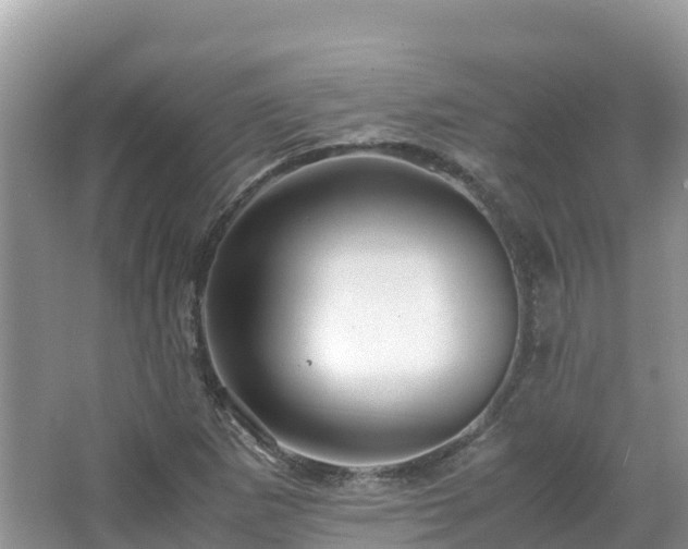 X0000065241265200602211203