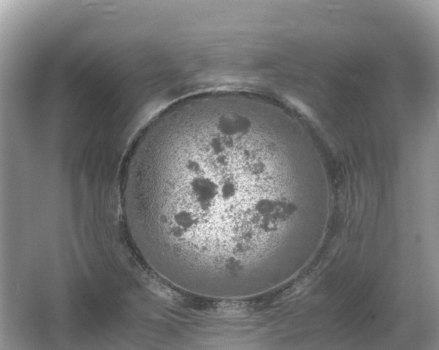 X0000065241267200602211203