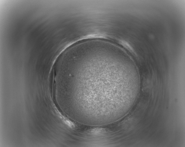 X0000065241268200602211203