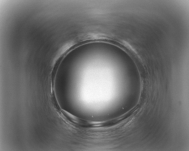 X0000065241269200602211203