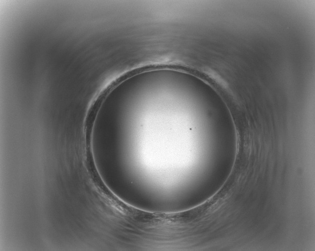 X0000065241270200602211203