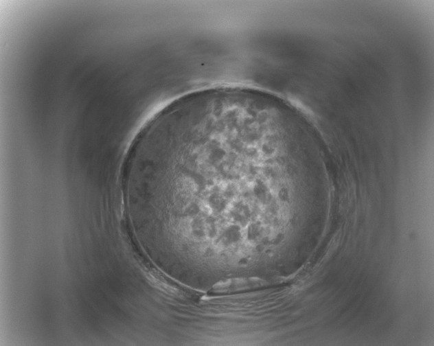 X0000065241271200602211203