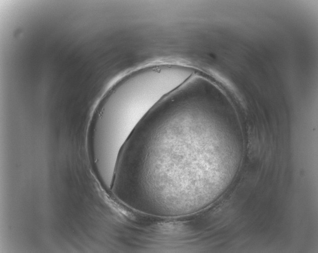 X0000065241272200602211203