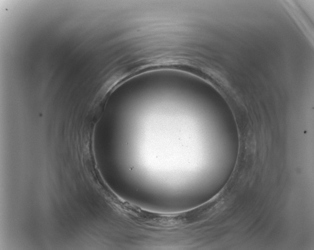 X0000065241273200602211203