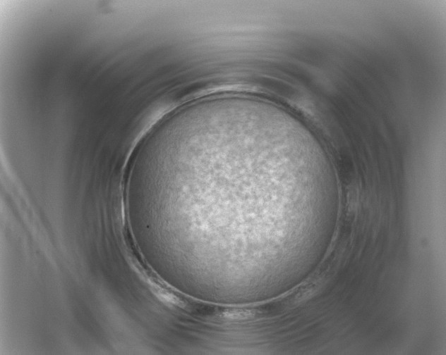 X0000065241274200602211203