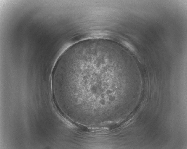 X0000065241275200602211202