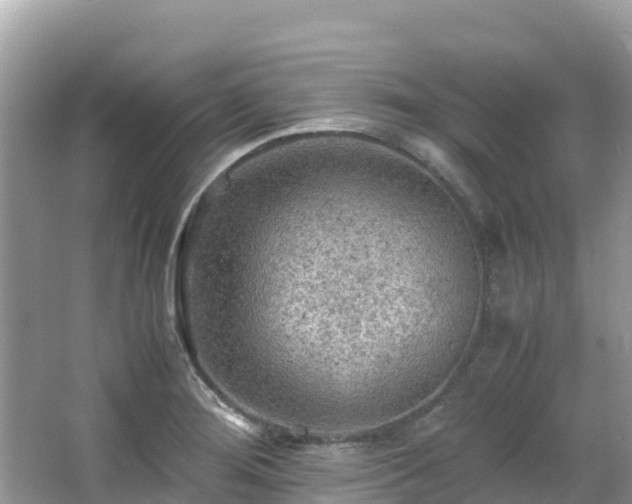 X0000065241276200602211202