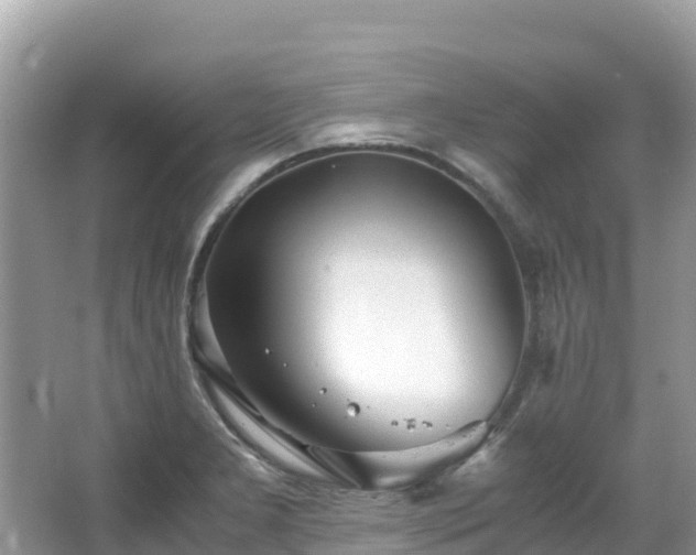 X0000065241277200602211202