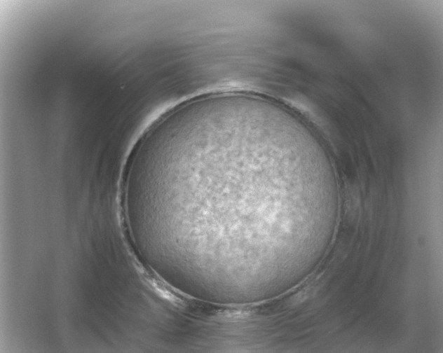 X0000065241278200602211202