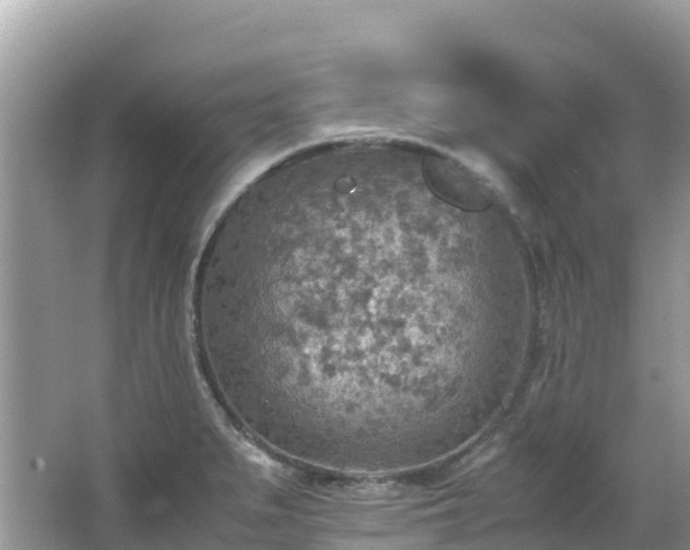 X0000065241279200602211202