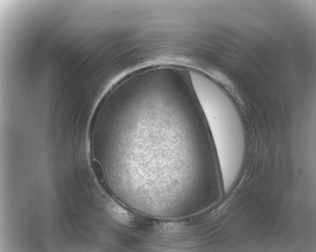 X0000065241280200602211202