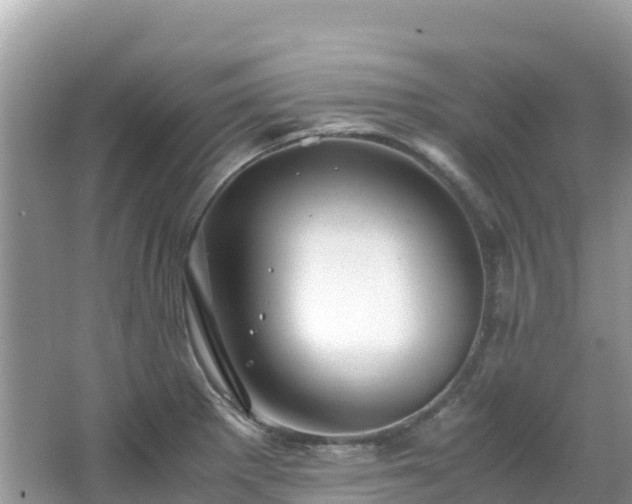 X0000065241281200602211202