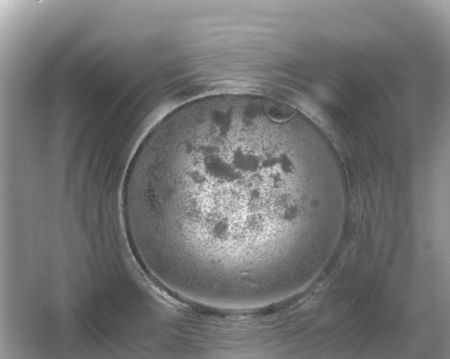 X0000065241283200602211202