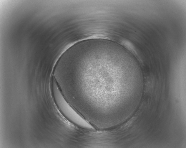 X0000065241284200602211202