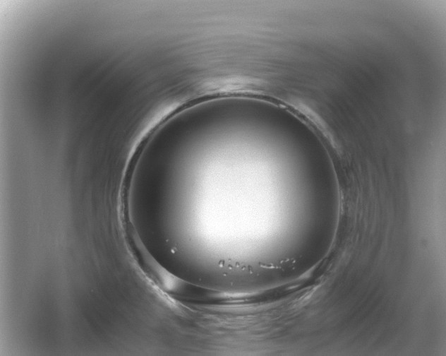 X0000065241285200602211202