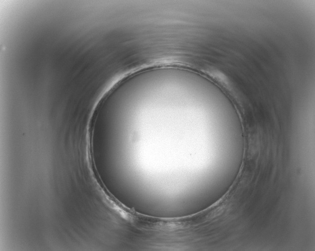 X0000065241286200602211202