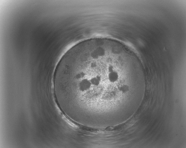 X0000065241287200602211202