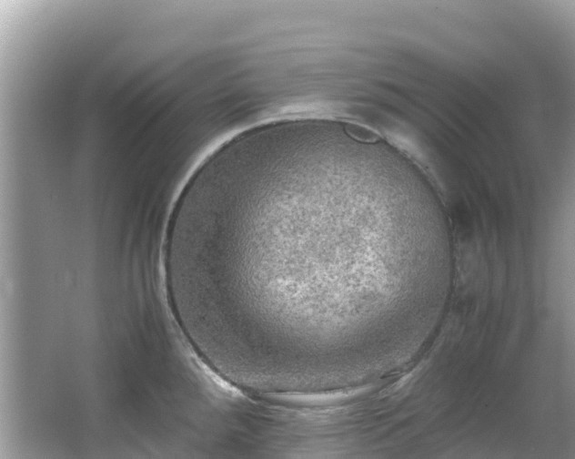 X0000065241288200602211202