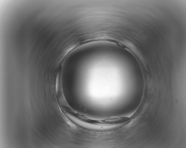 X0000065241289200602211202