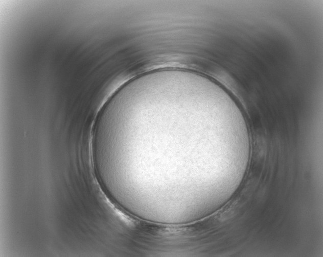 X0000065241290200602211202