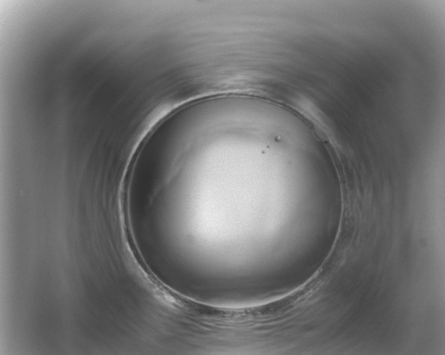 X0000065241291200602211202