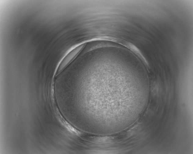 X0000065241292200602211202