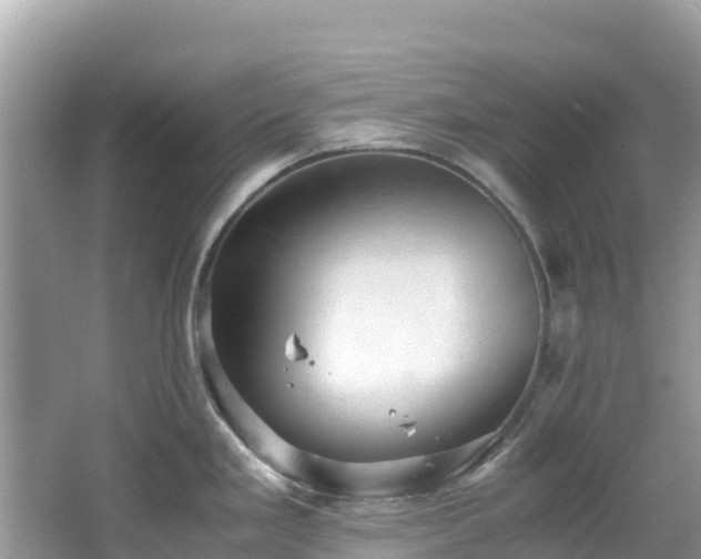 X0000065241293200602211202